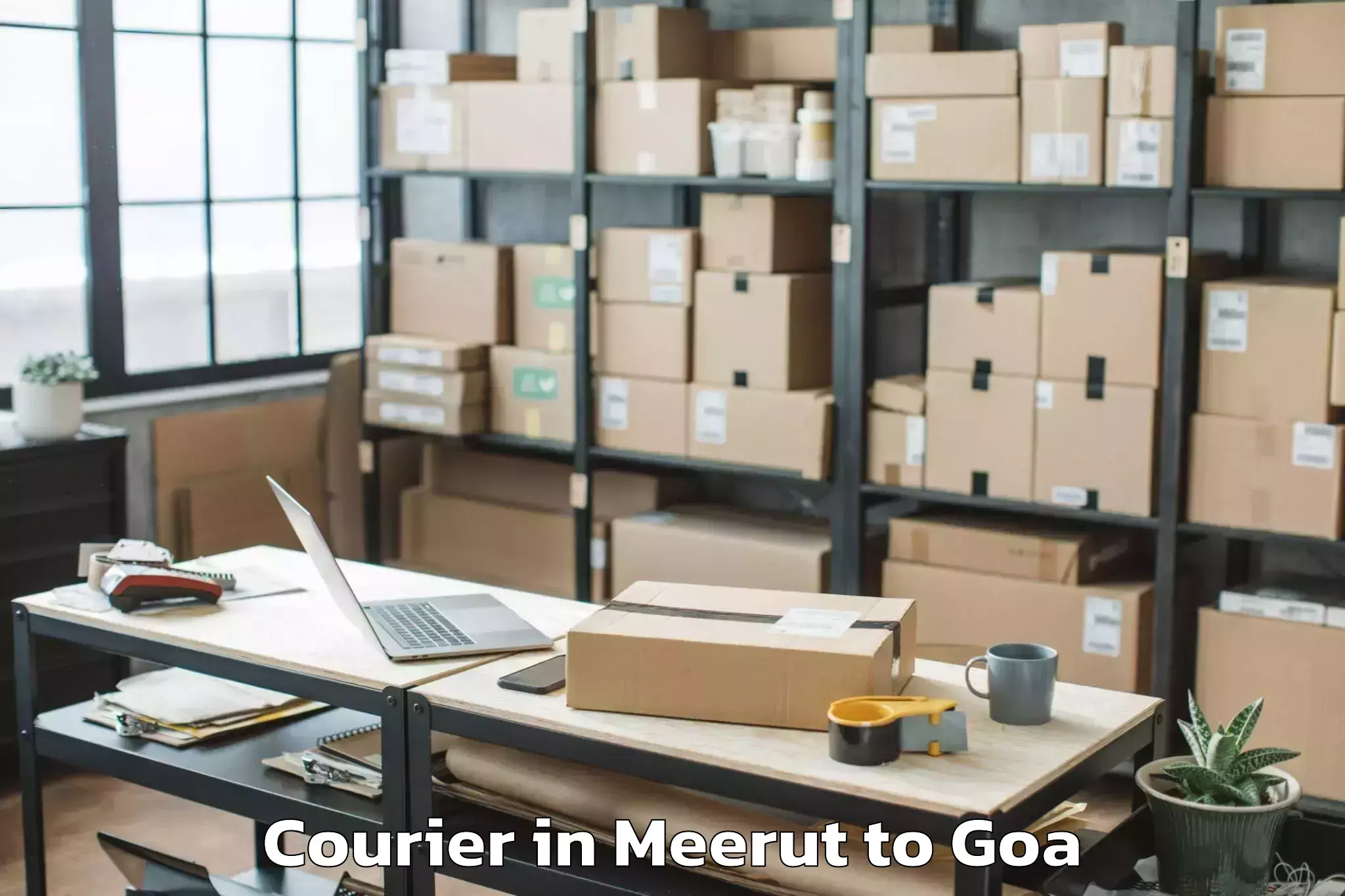 Expert Meerut to Mopa Courier